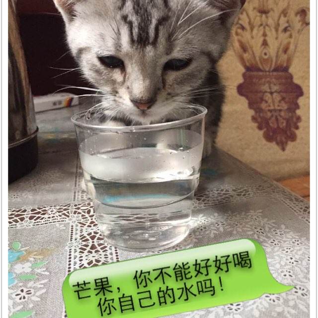 做个怀孕检测报告